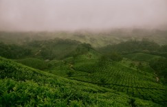 秋冬时节，保温杯助你品味优质茶香