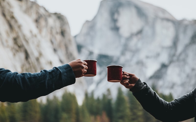 如何辨别春茶、夏茶与秋茶？插图